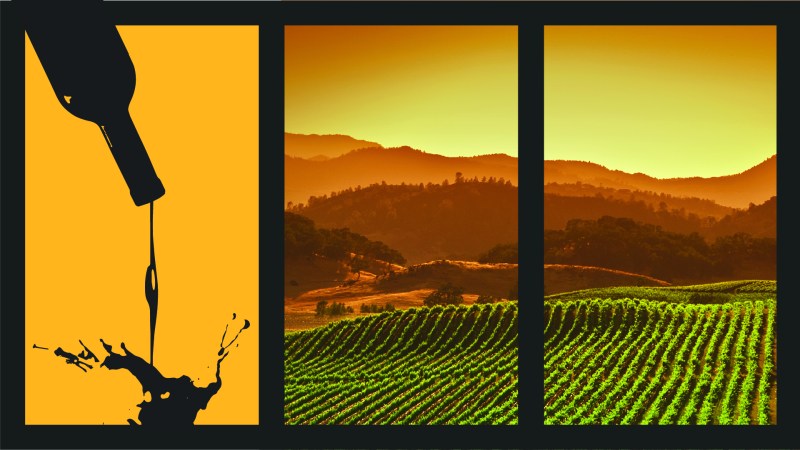 Americans are drinking less alcohol, especially America’s youth and that's impacting the alcohol industry in the U.S. including the vineyards of California.