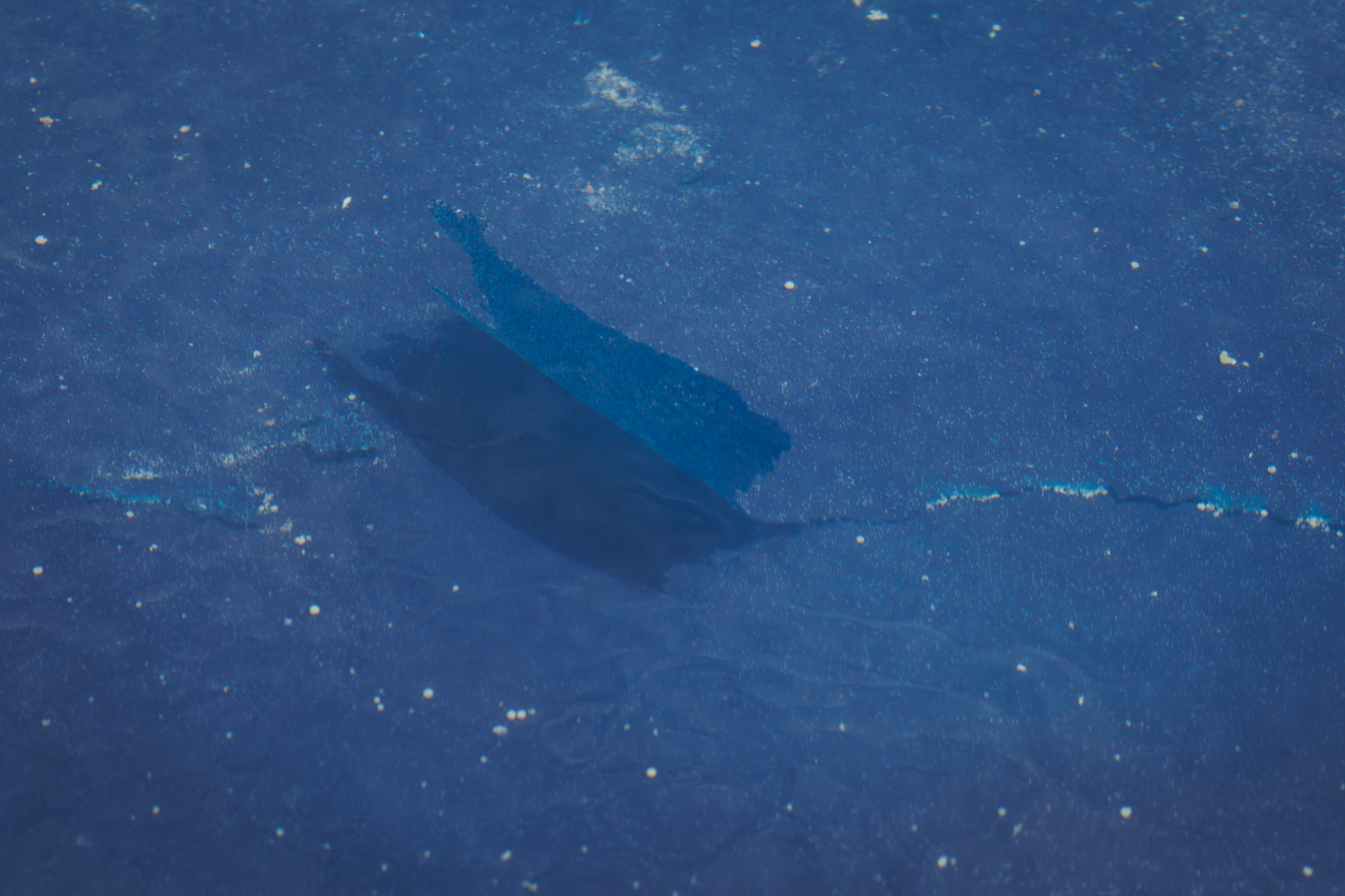 A section of the blue coating recently applied to the base of the Lincoln Memorial Reflecting Pool is seen peeling off on June 22, 2026 in Washington, D.C. The National Park Service is working to control and remove an algae bloom that has turned the pool green following the Trump Administration's recent $16 million repair, resealing and painting project.(Photo by Samuel Corum/Sipa USA)